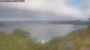 ./images/calvert/foggy-cove/20260619/foggy-cove20260619_075001M.jpg