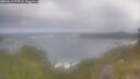 ./images/calvert/foggy-cove/20260619/foggy-cove20260619_075501M.jpg