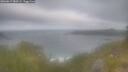 ./images/calvert/foggy-cove/20260619/foggy-cove20260619_080501M.jpg