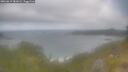 ./images/calvert/foggy-cove/20260619/foggy-cove20260619_081001M.jpg