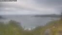 ./images/calvert/foggy-cove/20260619/foggy-cove20260619_082001M.jpg