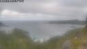 ./images/calvert/foggy-cove/20260619/foggy-cove20260619_082502M.jpg