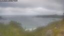 ./images/calvert/foggy-cove/20260619/foggy-cove20260619_083501M.jpg
