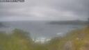 ./images/calvert/foggy-cove/20260619/foggy-cove20260619_084501M.jpg