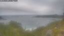 ./images/calvert/foggy-cove/20260619/foggy-cove20260619_085502M.jpg