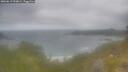 ./images/calvert/foggy-cove/20260619/foggy-cove20260619_090002M.jpg