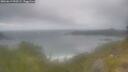 ./images/calvert/foggy-cove/20260619/foggy-cove20260619_090501M.jpg