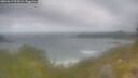 ./images/calvert/foggy-cove/20260619/foggy-cove20260619_091001M.jpg