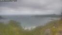 ./images/calvert/foggy-cove/20260619/foggy-cove20260619_091501M.jpg