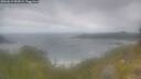 ./images/calvert/foggy-cove/20260619/foggy-cove20260619_092001M.jpg