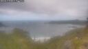 ./images/calvert/foggy-cove/20260619/foggy-cove20260619_093001M.jpg