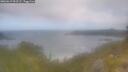 ./images/calvert/foggy-cove/20260619/foggy-cove20260619_093501M.jpg