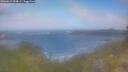 ./images/calvert/foggy-cove/20260619/foggy-cove20260619_094501M.jpg