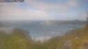 ./images/calvert/foggy-cove/20260619/foggy-cove20260619_095501M.jpg