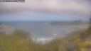 ./images/calvert/foggy-cove/20260619/foggy-cove20260619_101001M.jpg