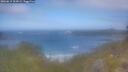 ./images/calvert/foggy-cove/20260619/foggy-cove20260619_102002M.jpg