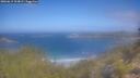 ./images/calvert/foggy-cove/20260619/foggy-cove20260619_103001M.jpg