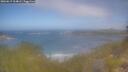 ./images/calvert/foggy-cove/20260619/foggy-cove20260619_104001M.jpg
