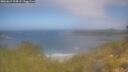 ./images/calvert/foggy-cove/20260619/foggy-cove20260619_104501M.jpg