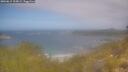 ./images/calvert/foggy-cove/20260619/foggy-cove20260619_105001M.jpg