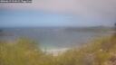 ./images/calvert/foggy-cove/20260619/foggy-cove20260619_111001M.jpg