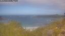 ./images/calvert/foggy-cove/20260619/foggy-cove20260619_111501M.jpg