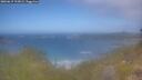 ./images/calvert/foggy-cove/20260619/foggy-cove20260619_112001M.jpg