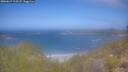 ./images/calvert/foggy-cove/20260619/foggy-cove20260619_113501M.jpg