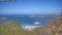 ./images/calvert/foggy-cove/20260619/foggy-cove20260619_115501M.jpg