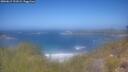 ./images/calvert/foggy-cove/20260619/foggy-cove20260619_121002M.jpg
