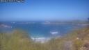 ./images/calvert/foggy-cove/20260619/foggy-cove20260619_121501M.jpg