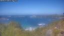 ./images/calvert/foggy-cove/20260619/foggy-cove20260619_132001M.jpg