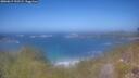 ./images/calvert/foggy-cove/20260619/foggy-cove20260619_132501M.jpg