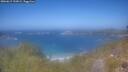 ./images/calvert/foggy-cove/20260619/foggy-cove20260619_133001M.jpg