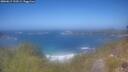 ./images/calvert/foggy-cove/20260619/foggy-cove20260619_133501M.jpg