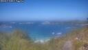 ./images/calvert/foggy-cove/20260619/foggy-cove20260619_134001M.jpg