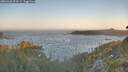 ./images/calvert/foggy-cove/20260620/foggy-cove20260620_054501M.jpg