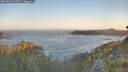 ./images/calvert/foggy-cove/20260620/foggy-cove20260620_055001M.jpg