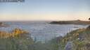 ./images/calvert/foggy-cove/20260620/foggy-cove20260620_055501M.jpg