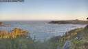 ./images/calvert/foggy-cove/20260620/foggy-cove20260620_060501M.jpg