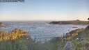 ./images/calvert/foggy-cove/20260620/foggy-cove20260620_061001M.jpg