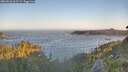 ./images/calvert/foggy-cove/20260620/foggy-cove20260620_061501M.jpg