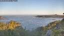 ./images/calvert/foggy-cove/20260620/foggy-cove20260620_062001M.jpg