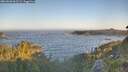 ./images/calvert/foggy-cove/20260620/foggy-cove20260620_062502M.jpg