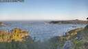 ./images/calvert/foggy-cove/20260620/foggy-cove20260620_063002M.jpg