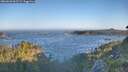 ./images/calvert/foggy-cove/20260620/foggy-cove20260620_063501M.jpg