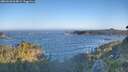 ./images/calvert/foggy-cove/20260620/foggy-cove20260620_064002M.jpg