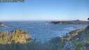 ./images/calvert/foggy-cove/20260620/foggy-cove20260620_064501M.jpg