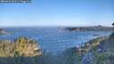 ./images/calvert/foggy-cove/20260620/foggy-cove20260620_065501M.jpg
