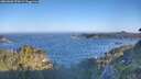 ./images/calvert/foggy-cove/20260620/foggy-cove20260620_070001M.jpg